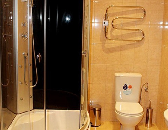 2-местное станд. - Отель «Александрия» Сухум